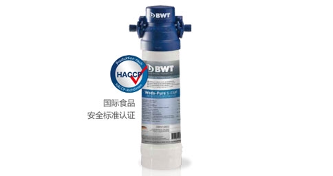 BWT Woda-Pure s超能係列麻豆免费在线视频网站器